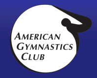 2022 San Francisco Gymnastics Club summer camps