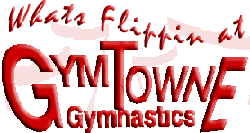 2022 San Francisco Gymtowne summer camps