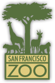 2022 San Francisco summer camps